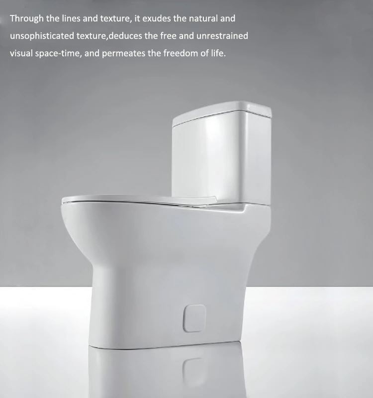 Cheap white wall mounted toilet